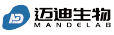 迈迪